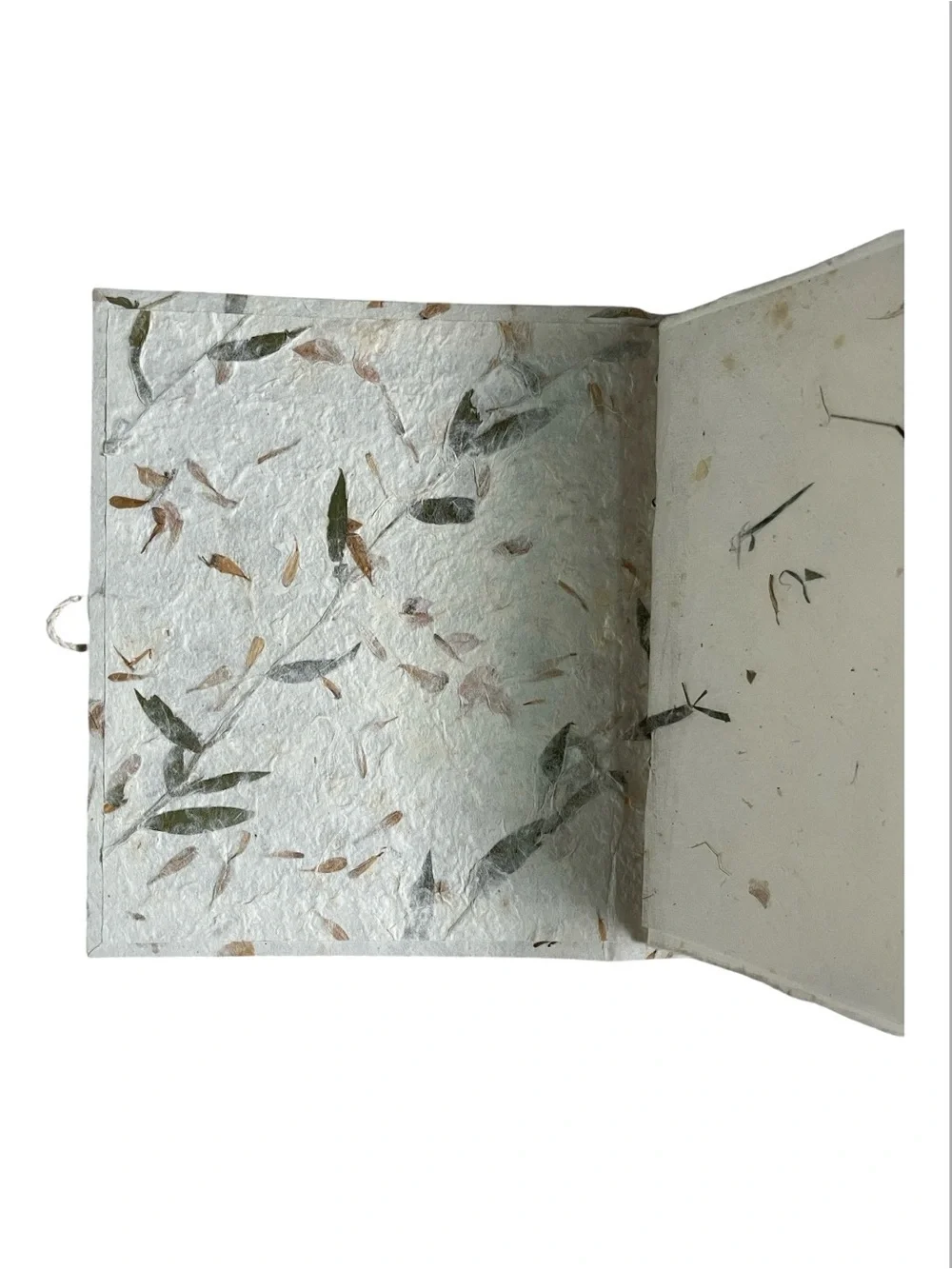 NEW Botanical Memory/Scrapbook with Natural Leaf Accents